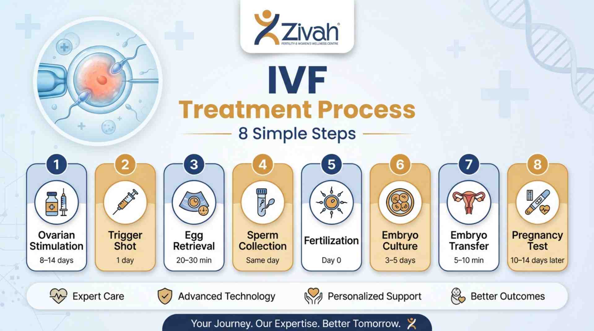 IVF Treatment Process at - Zivah Fertility.jpg