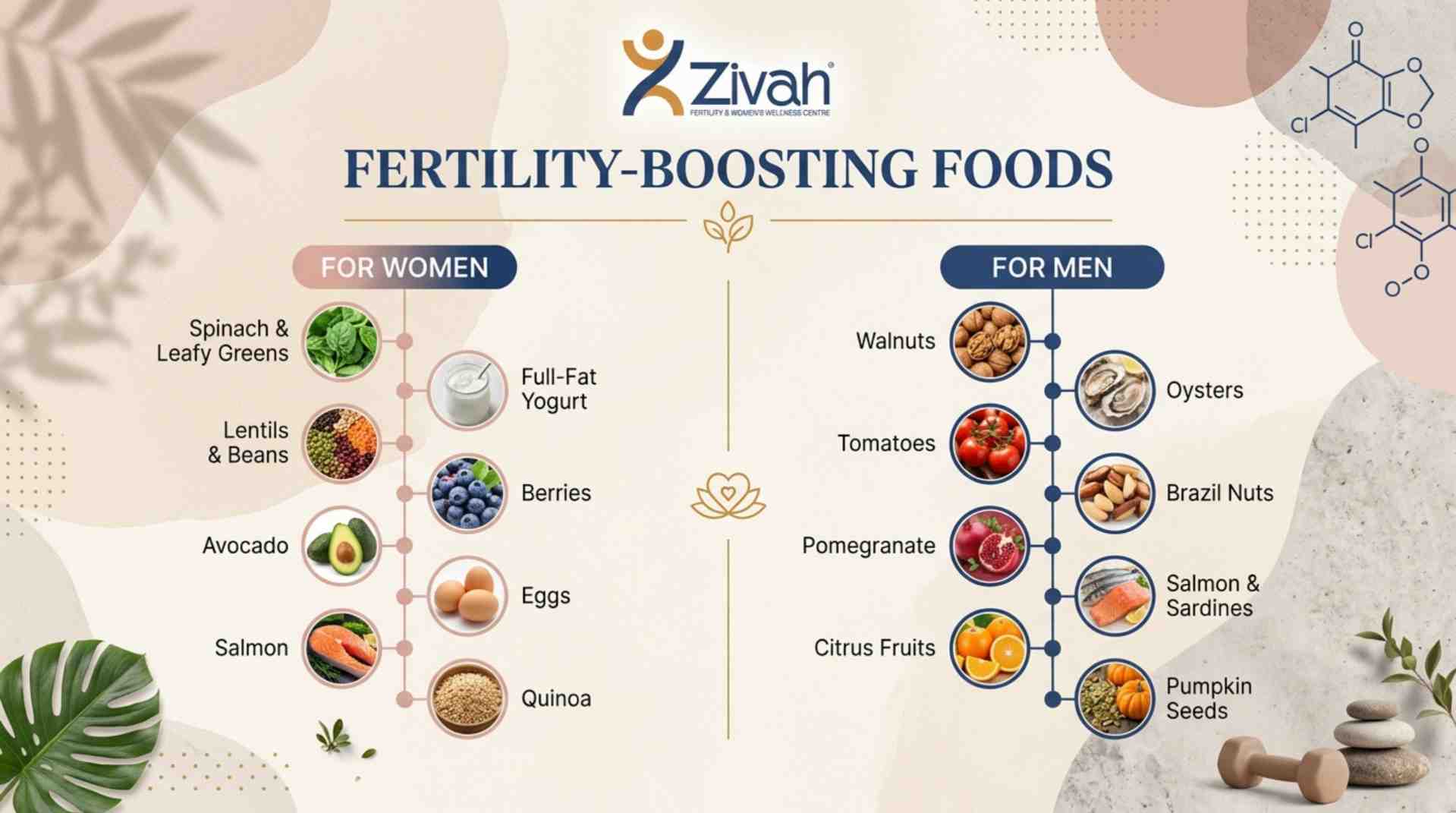 What are the best fertility-boosting foods for women & men -Zivah fertility.jpg
