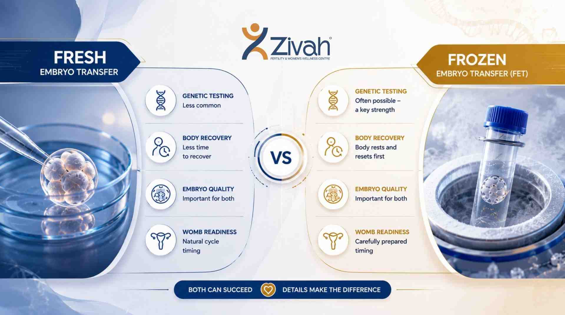 img_6a13f79f3f84c_Fresh_vs._Frozen_-_What_Affects_Your_Success-_Zivah_fertility.jpg