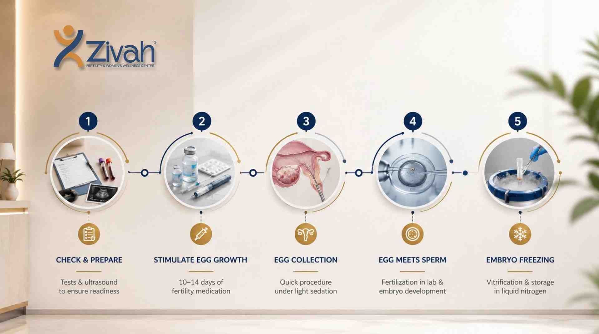 How Does the Embryo Freezing Procedure Work - Zivah fertility.jpg