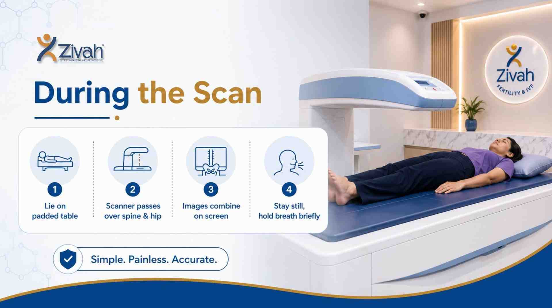 What Happens During a Bone Density Scan- Zivah fertility.jpg