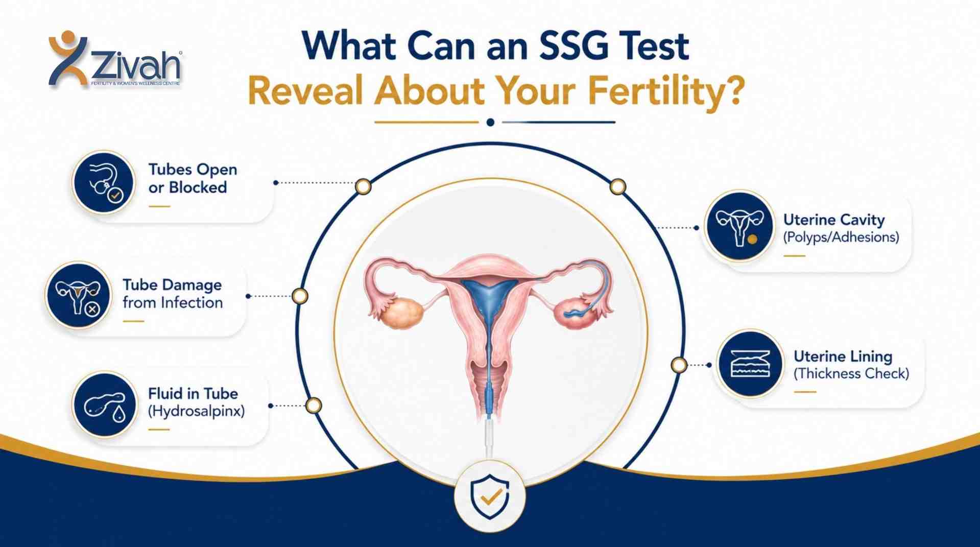 What Can an SSG Test Reveal About Your Fertility-Zivah fertility.jpg