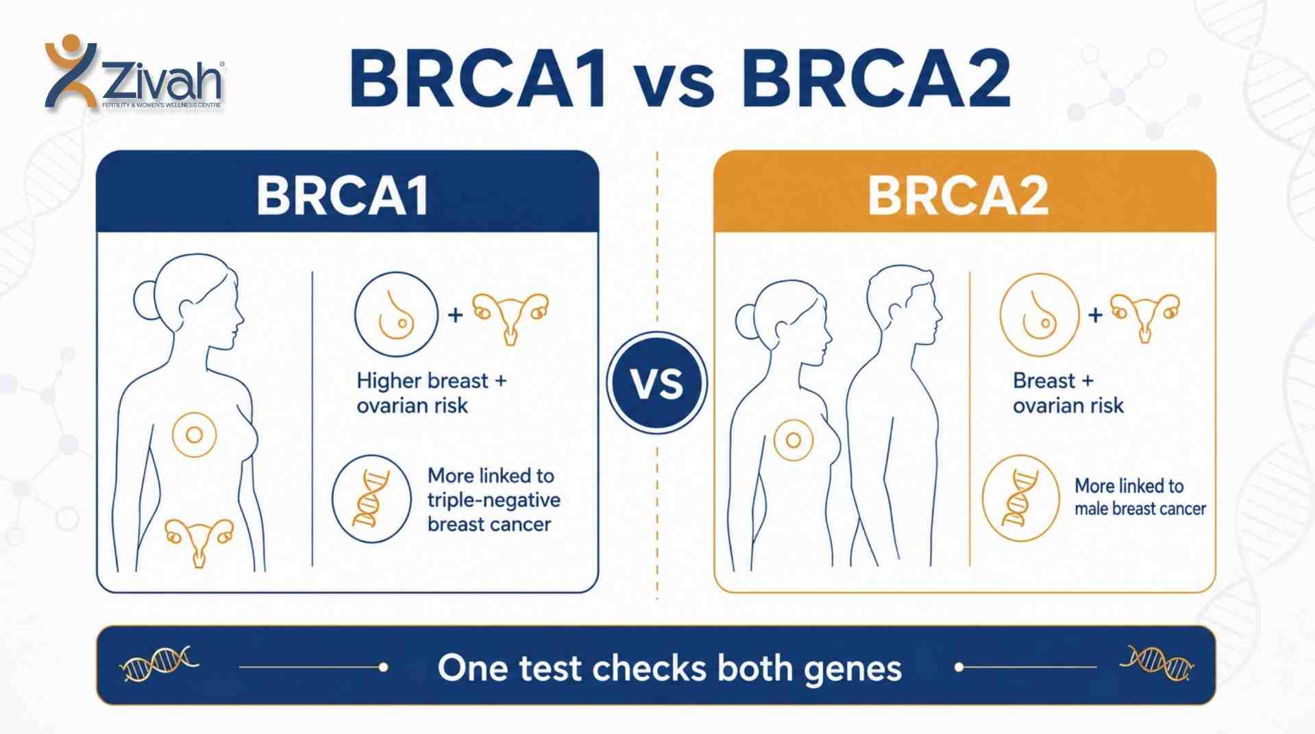 What Is the Difference Between BRCA1 and BRCA2- Zivah fertility.jpg