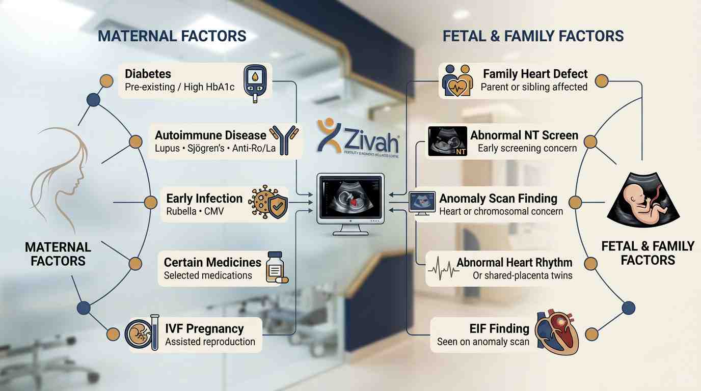 Who Needs a Fetal Echocardiogram - Zivah Who Needs a Fetal Echocardiogram