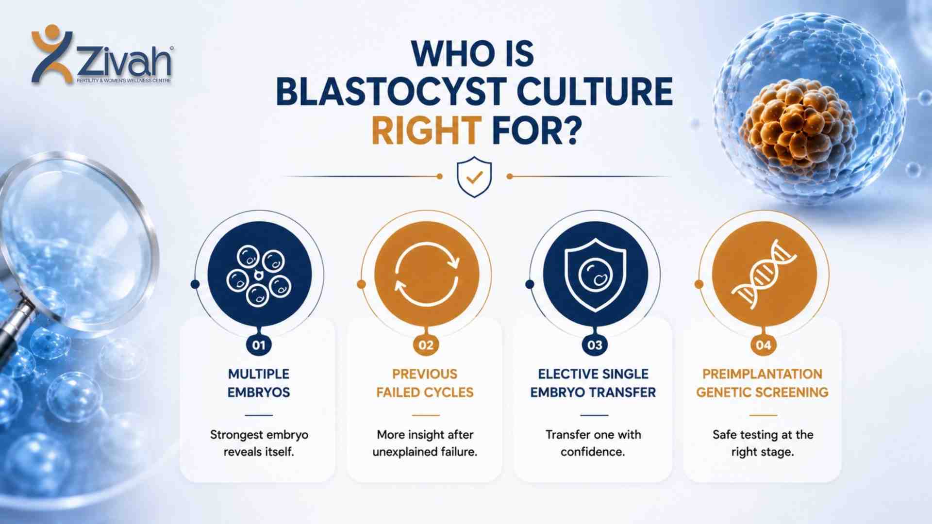 Who is blastocyst culture right for - Zivah fertility.jpg