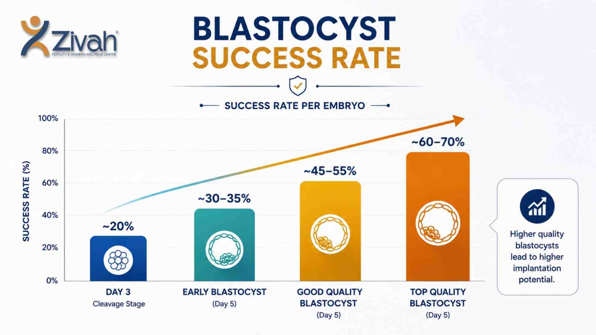 Blastocyst success rate - Zivah fertility.jpg